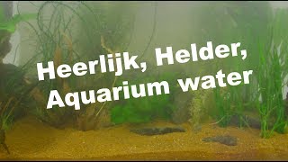 Heerlijk helder aquarium water Tips voor een kristal helder aquarium water [upl. by Nylyram]