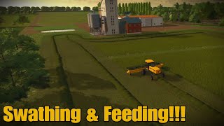 Gnadenthal Crossplay Solo Episode 2 Swathing  Feeding amp Training FS22 PS5 [upl. by Yelrebma]