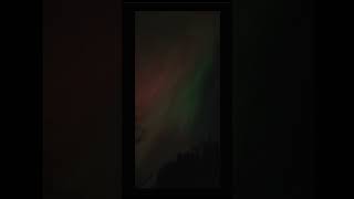 🇨🇦Canada Ontario Alliston Northern Lights Earl Rowe Park🏕 10111224 photography [upl. by Hesther]