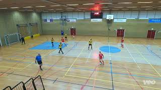 Samenvatting Excelsior31 2  ZVV Homar 1 Hoofdklasse G 17102024 [upl. by Middlesworth47]