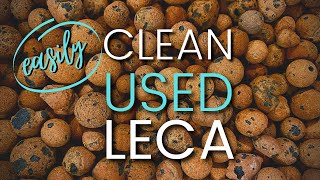 How to Clean and Sterilise LECA Clay Balls [upl. by Kalie]