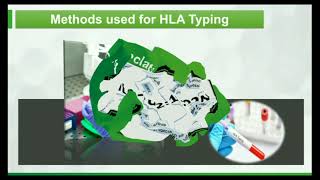 HLA typing Human leukocyte antigenimmunologySUBSCRIBE 🔔 [upl. by Andria]