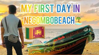 My First Day In Srilanka 🇱🇰 Vlog 3  Negombo Beach 🏝️  Catamaran hotel [upl. by Irra]