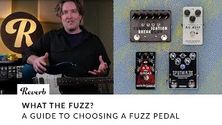 What the Fuzz A Guide to Choosing a Fuzz Pedal  Tone Report Demo [upl. by Roberto]