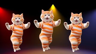 😻Cat videos funny dance 💃😃Videos for catsvfunnycats dancingcat catlovers furrycornerz [upl. by Kapeed480]