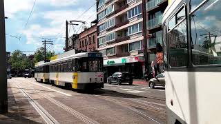 PCC Trams op Lijn 7  Trams De Lijn in Antwerpen  Mortsel  052024  Brttrainz  BE [upl. by Arymahs]