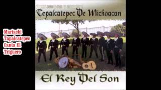 Mariachi Tepalcatepec Canta El Triguero [upl. by Akiehsal304]