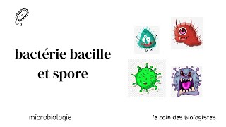 bactérie bacille et spore [upl. by Airol304]