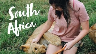 VOLUNTEERING AT A WILDLIFE SANCTUARY  South Africa [upl. by Tomaso]