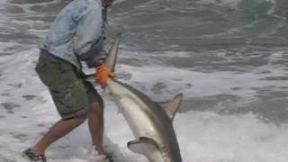 2012 Blacktip Challenge Promo [upl. by Clarisse63]