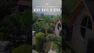 Hive Cafe amp Stay dehradun cafe [upl. by Asen]