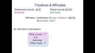 AcqOfLang1 Affricates [upl. by Luehrmann519]