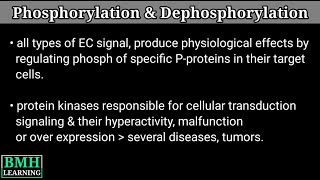 Phosphorylation amp Dephosphorylation  Protein Phisphorylation [upl. by Fedak533]