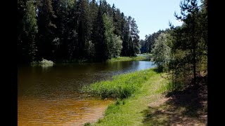 Elva paisjärv ja Elva jõgi 4K video [upl. by Siddon]