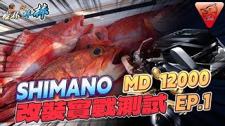 【捲線器醫院】SHIMANO MD 12000 改裝實戰測試 EP1 深場黑肚 [upl. by Ecidnacal]