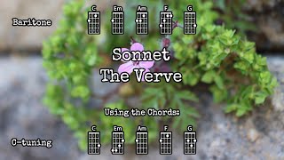 Sonnet  The Verve  Ukulele Play Along [upl. by Aihsar]