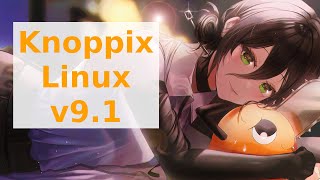 Knoppix Linux V91 Live Media Overview [upl. by Mil]