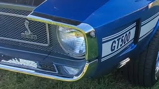 MECUM 1969 FORD SHELBY MUSTANG GT500 mecumauctions fordshelbygt500 carvideos [upl. by Enileme372]