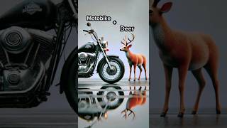 Motorbikedeer 🦌🛵ai comedy howtomakegolgappa coversong animal funny shorts [upl. by Klug]