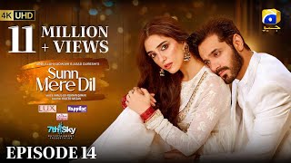 Sunn Mere Dil EP 14 Eng Sub Digitally Presented by LUX  Happilac Paints and Ujooba Beauty Cream [upl. by Rosemary]