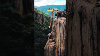 A giraffe on the cliff rescued 😱😱😱 AI generated vid animals rescue viralvideo [upl. by Eelirol]