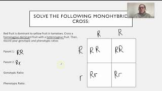 Biology Mendelian Genetics  EDST750 UTM [upl. by Hestia]