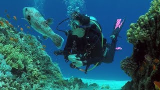 Duiken Egypte Dahab  Diving Egypt Dahab  Final Part  The Islands  Eel Garden  Mashraba [upl. by Caressa180]