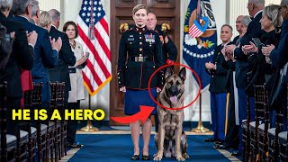 Sergeants Service Dog is Barred from the Plane Days Later She Gets a Shocking Call [upl. by Inaliak]