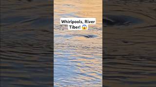 Watch the Spectacular Moment MULTIPLE Whirlpools Appear in the River Tiber Shorts FYP [upl. by Haletta]