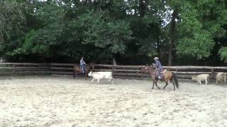 Californio Traditions Horsemanship [upl. by Xer265]