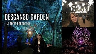 Vlog in Los Angeles Descanso gardens  enchanted forest [upl. by Eibrik946]