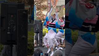 【葵新連・高円寺フェス】 女踊り・組踊り 高円寺フェス 阿波おどり 高円寺 awaodori 祭り JBL めっちゃいい音 [upl. by Melmon434]