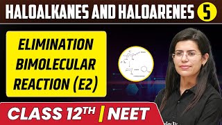 Haloalkanes and Haloarenes 05  Elimination Bimolecular Reaction E2  Class 12thNEET [upl. by Alleciram]