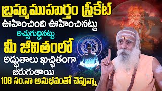 బ్ర‌హ్మ‌ముహుర్తం అద్భుతాలు  Brahma Muhurta Miracles  108 Years Baba Santh Sadhanananda Giri  TSW [upl. by Nilesoy198]