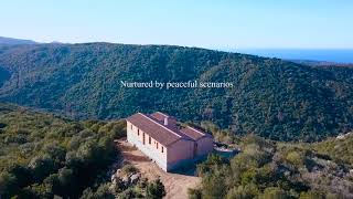 Countryhome for sale Sardinia  Immobilien zu Verkaufen in Sardinien [upl. by Adiaroz]