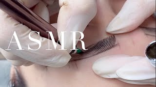 ASMR 엠보눈썹  자연눈썹  MICROBLADING PROCEDURE ASMR  베이비브로우 [upl. by Kali]