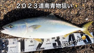 鮭釣りで賑わうサーフで青物狙い✨🎣 [upl. by Allsun]