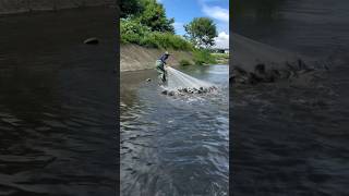 Amezing fishing 🦦🎣 love indianvlogvideo funny fishing fish food shorts [upl. by Nyrhtakyram]