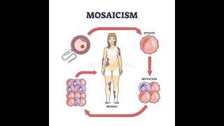 Understanding the concept of chimerism Chimera Mosaicism Natural chimerism [upl. by Sosthena]