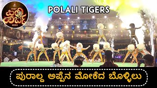 Polali Tigers  Pili Parba 2024 [upl. by Atteoj]