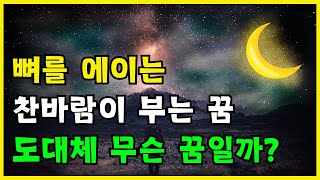 뼈를 에이는 찬바람이 부는 꿈 해몽 풀이 길몽일까  꿈풀이사전 꿈 해몽 [upl. by Burty]