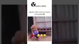 animal gato cachorro meme comedia brasil br pet youtubeshorts youtube naoflopa [upl. by Alleirbag561]