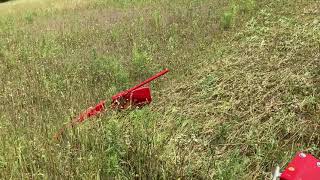 Enorossi BF210H sicklebar mower hay cut northern Maine [upl. by Jemine]