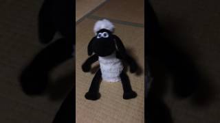 dancing Shaun the sheep [upl. by Otsenre]