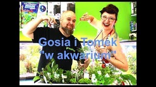 Gosia i Tomek quotw akwariumquot Część 11 Akwarium roślinne Tomka 375 litrów [upl. by Ojeitak322]