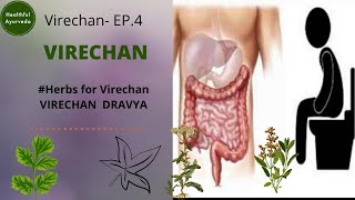 EP4 VIRECHAN DRAVYA HERBS FOR VIRECHAN [upl. by Anatlus]