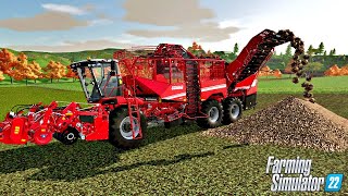 GRIMME REXOR 6300 PLATINUM  Zbiór buraków  35 Haut Beyleron  Farming Simulator 22 [upl. by Landre445]