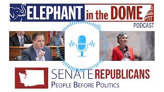 The Elephant in the Dome Podcast A look back at the Legislative Session and a senator says goodbye [upl. by Yelyac]