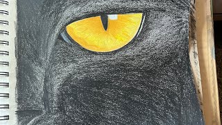 JEXPERT ART is live Black panther ￼ [upl. by Damahom854]