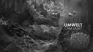 Cam Lasky  Domesticated Silver Fox Original Mix  UMWELT Vol3  KWAIOTO Records [upl. by Virnelli439]